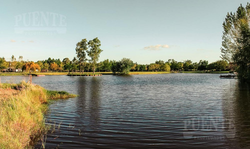 Imagen 10 de 12 de Terreno - Fincas De San Vicente Laguna - Lote Con Fondo Al Lago -