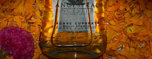 Pureza Ancestral Mezcal Cupreata 750 Ml