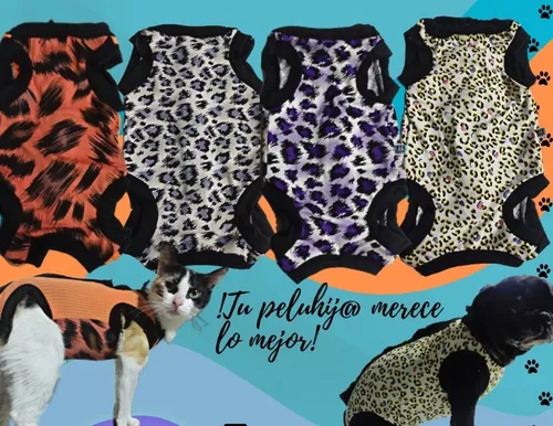 Ropa para online gatos mercadolibre