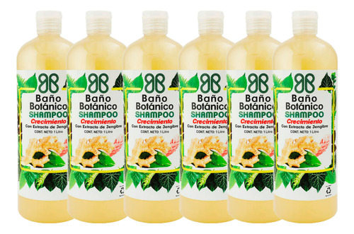 Shampoo Botanico Extracto Jengibre (crecimiento) 1 Lt Pack 6