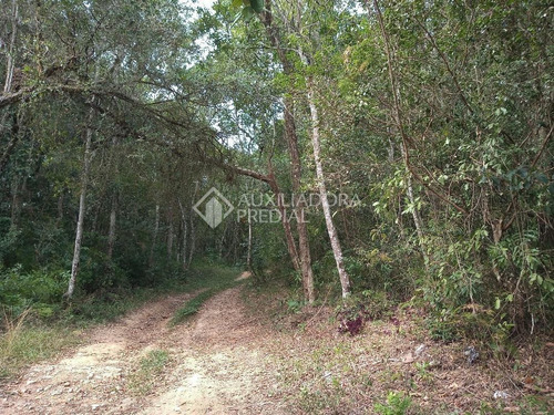 Imagem 1 de 11 de Terreno - Centro - Ref: 233072 - V-233072