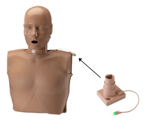 Torso De Rcp Adulto Prestan Ultralite C/led Analisis Calidad