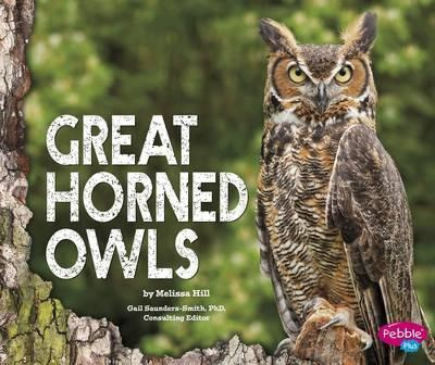 Owls: Great Horned Owls