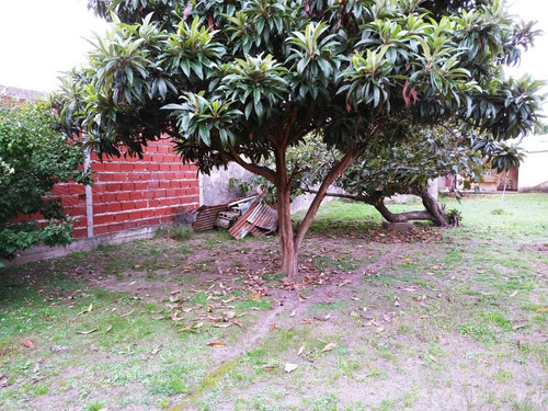 Imagen 3 de 5 de Lote En Venta En Tolosa - Ideal Emprendimiento
