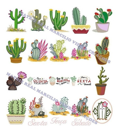 Matrizes Bordados 53 Cactos Semaninha Coleçao Cactus Flor