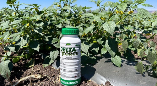 Spirotetramat - Delta Force - 15 Litros