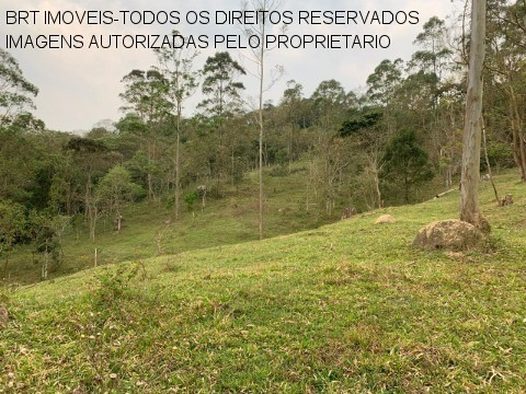 Imagem 11 de 30 de Sitio - St00005 - 34466646