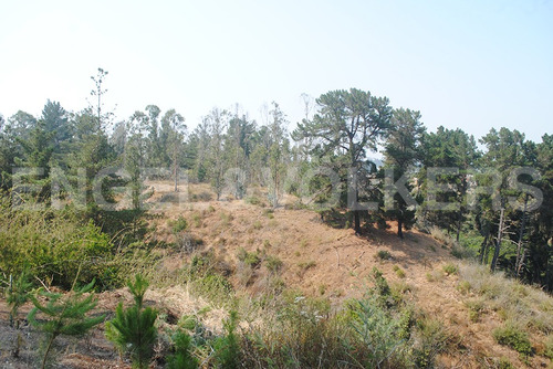 Terreno En Algarrobo