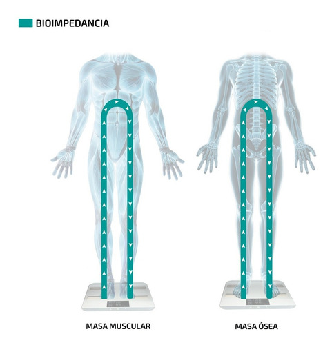 Imagen 4 de 8 de Balanza De Baño Inteligente Personal 180kg Electronica Gris