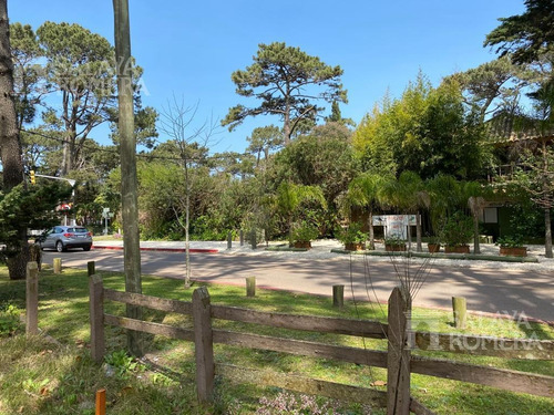 Imagen 7 de 11 de Terreno - Punta Del Este