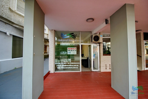 Local Con Baño En Venta Sobre Av. Gorlero, Peninsula. Punta Del Este- Ref: 2833