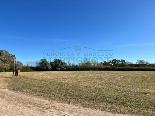 Imagen 8 de 21 de Terreno De 3600m2 En Venta En La Ranita Club De Campo