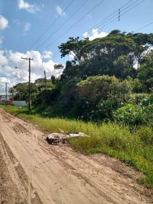 Terreno Com 300 Metros Da Rodovia - Itanhaém 6685 | Sanm