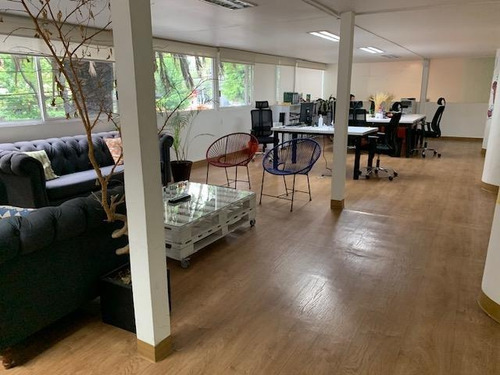 Imagen 1 de 14 de Polanco Vendo Oficina Masaryk De 600m2, Vigilancia, Acondici