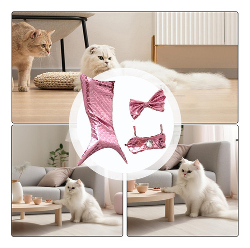 Disfraz De Gato Disfraz De Gato Ropa De Cola De De Gato Con