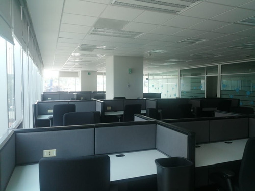 Renta Oficina En Colonia Los Alpes