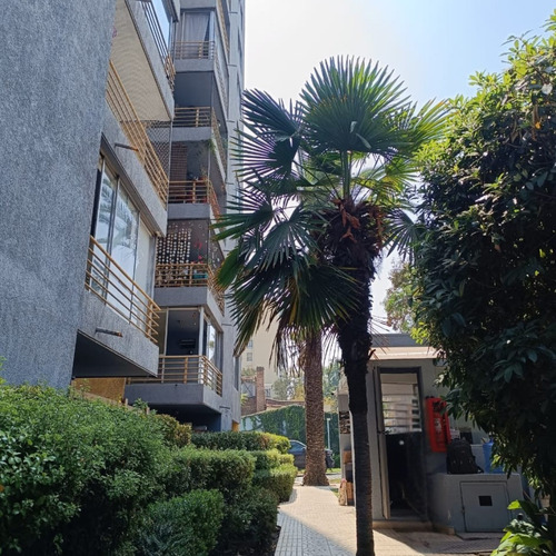 Venta 2d + 2b En Suite + Estac. Y Bodega / 44mts2 De Terraza
