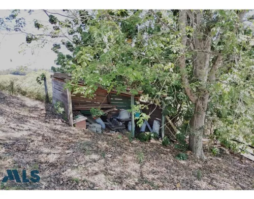 Finca En Oriente Para Disfrutar Del Silencio Y La ...(mls#245046)