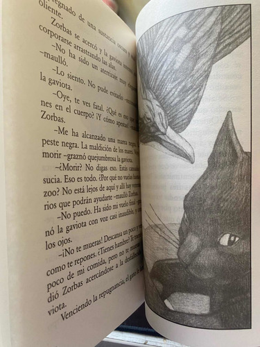 Imagen 3 de 6 de Historia De Una Gaviota Y Del Gato Que Le Enseño A Volar