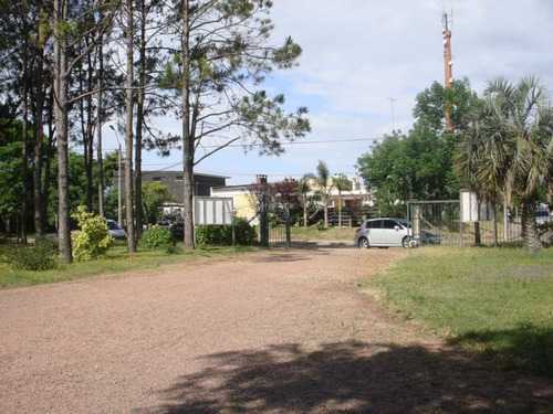 6000 M2 De Terreno En Ipora