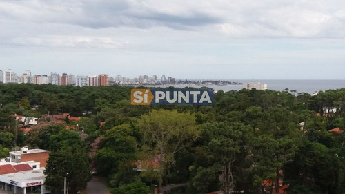 Imagen 6 de 30 de Apartamento En Venta - Roosevelt