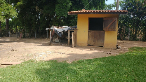 Imagem 5 de 30 de Chácara 15mil M2, Rica Em Água Com Nascentes, Tanque Com Peixes E Rio, Casa Sede Com 3 Dormitórios /1suíte, Casa Caseiro, Canil, Baia, Pomar, Piscina - Ch00253 - 70809480