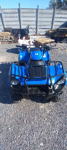 Imagen 2 de 5 de Kawasaki Brute Force 300