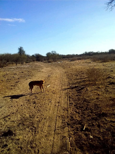 Campo De 593 Has En Puerto Alegre, San Luis