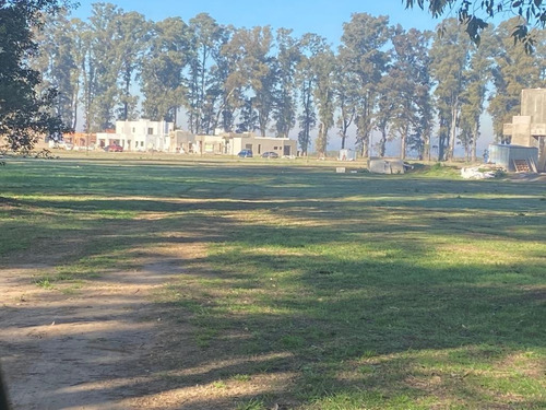 Imagen 13 de 19 de Venta Lote Villa De Campo Tres Pinos Barrio Estribo Gral Rodriguez