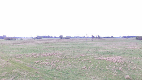 Venta Campo,17 Hectáreas,tomas Jofré, Ideal Proyecto