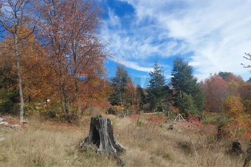 Venta Domos Y Cabaña Valle De Panqui