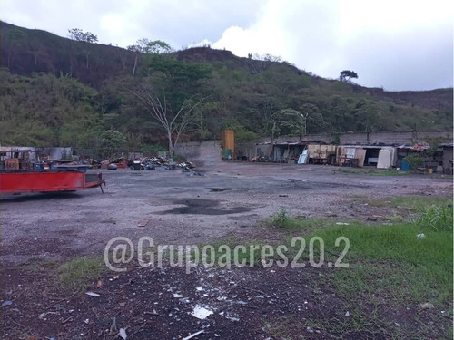 Imagen 5 de 7 de En Venta Un Gran Lote De Terreno En El Limoncito Vía Tejerías.lv