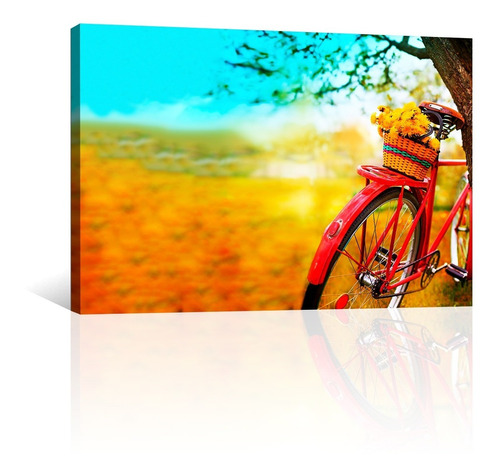 Cuadro Decorativo Artisitcas Canvas Bicicleta Roja Antigua