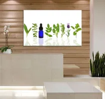 Comprar Vinilo Decorativo 40x60cm Aromaterapia Aceites Esencia M6