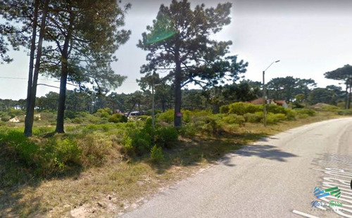 Imagen 10 de 10 de Venta De Terreno Esquinero En Club Del Lago Punta Ballena - Punta Ballena Club Del Lago