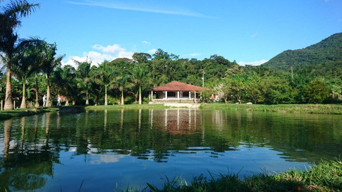 Imagem 11 de 12 de Juquiá / Belo Sitio Com Lago/ac/propostas/ref:05351