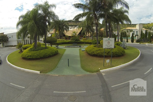 Imagem 9 de 15 de Casa À Venda No Paquetá - Código 204762 - 204762