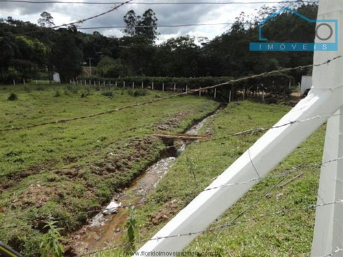 Imagem 11 de 29 de Fazendas À Venda Em Piracaia/sp - Compre O Seu Fazendas Aqui! - 1402052
