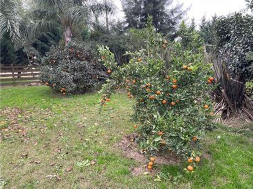 Lote Ubicado En El Barrio Sanchez Espuelas - 15 X 50