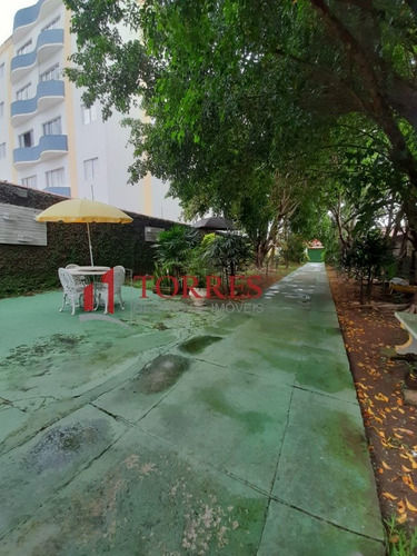 Chácara Para Venda Em Vila São José Taubaté-sp - 290