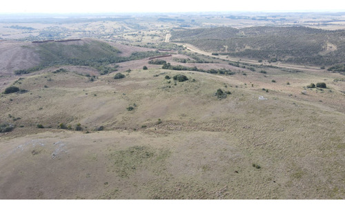 Campo En Rocha 78ha (ref: Atm-6768)