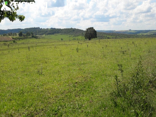 Imagem 1 de 16 de Fazenda À Venda Na Região De Garça - Fa00175 - 69382428