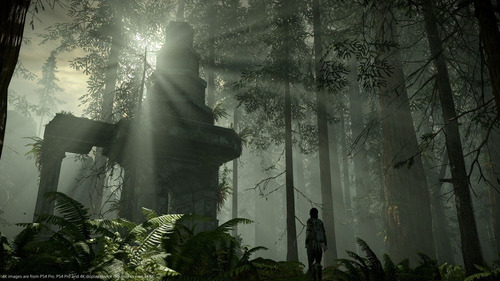 Shadow Of The Colossus Ps4-lacrado