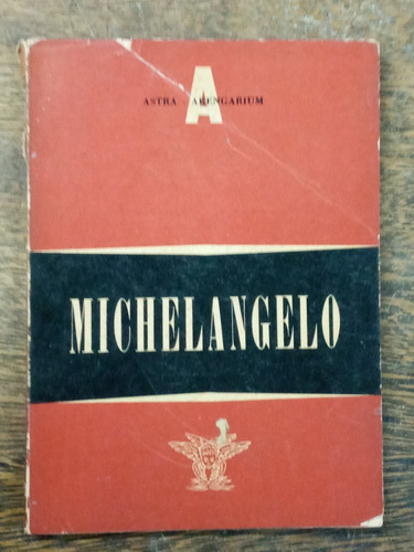 Michelangelo * Monographies D´art * Giovanni Poggi *