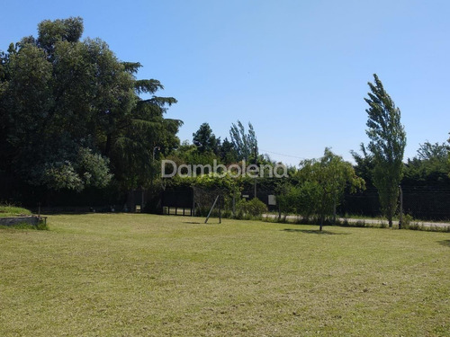 Imagen 5 de 12 de Terreno Lote En Venta Ubicado En Colectora Acceso Oeste - Francisco Álvarez, Moreno