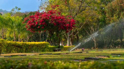 Jazigo Completo No Cemitério Parque Jaraguá Nobre Tradicional 6 Gavetas