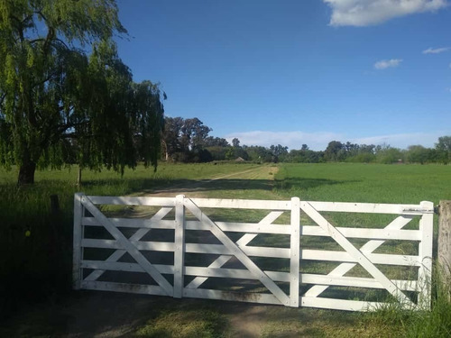 Imagen 13 de 14 de Alquiler Casa De Campo Promo Cerquita En Mercedes Buenos Aires Grupos Grandes Son 6 Habitaciones Con Baños Privados Calefacción Wi Fi Experiencia Campo Asado Fogonero