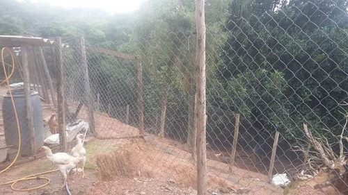 Imagem 10 de 14 de Oportunidade-chácara Com 3.000 M², Casa Com 02 Dormitórios!!