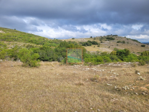Imagen 22 de 30 de 79 Hás Campo Criador Y Serrano En Corte De La Leña