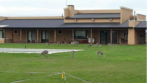 Imagen 15 de 17 de Casa Campo Finde Semana Quincena Mes Excelente Casa Para 12 Personas